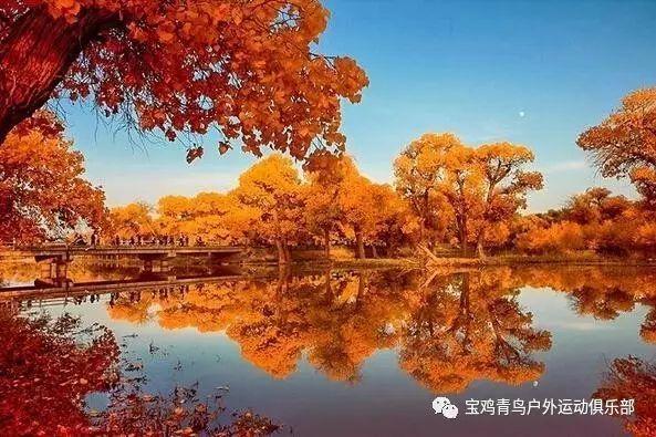 逃离密苏里州花园