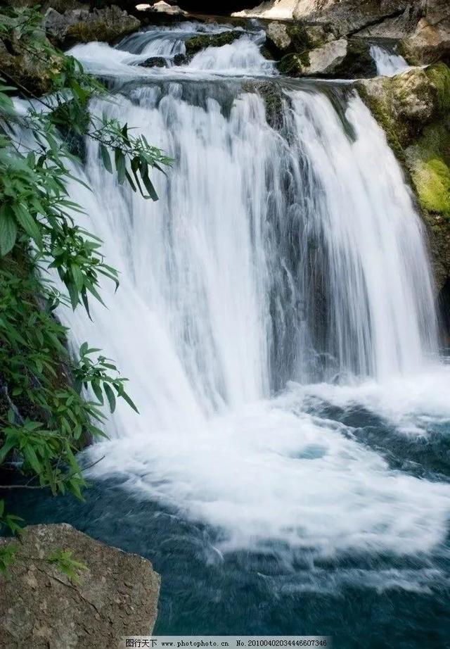 银耳凉拌需要煮一下吗游戏画面
