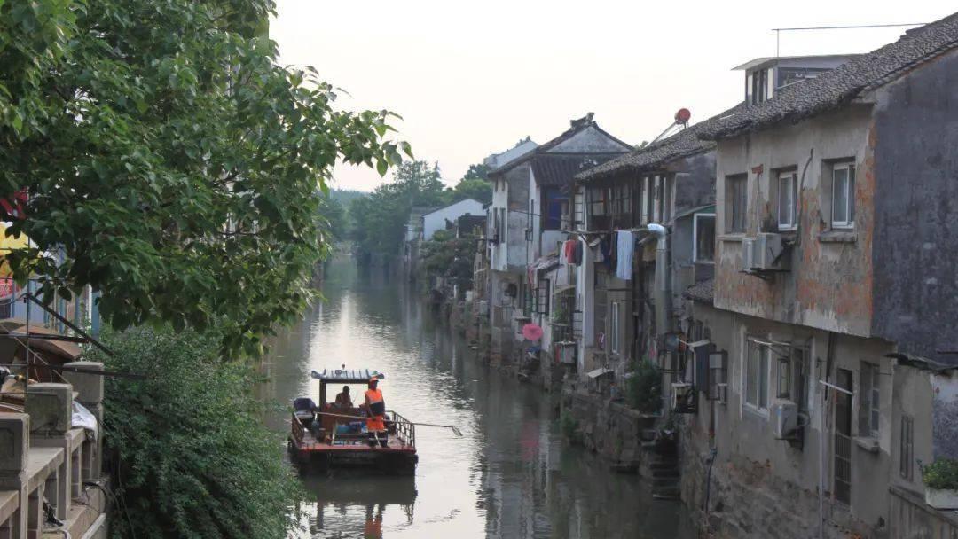 深圳园区发现巨蟒，长近4米，这条巨蟒是如何被发现的？