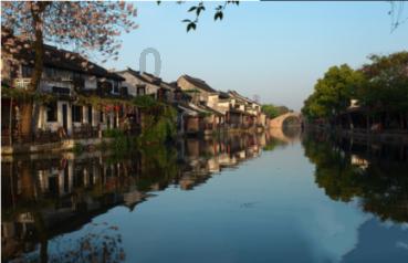 僵尸跳跳跳